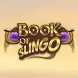 image-6-slingoe-img